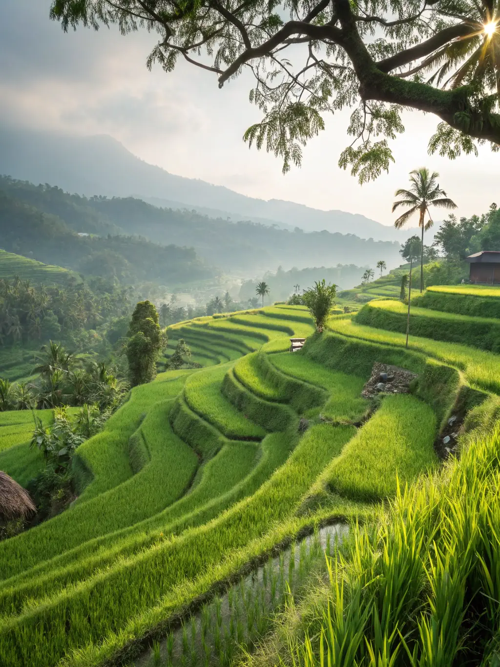 A vibrant image of Bali, Indonesia, featuring lush rice terraces, serene beaches, and traditional Balinese architecture, evoking a sense of tranquility and exotic adventure.