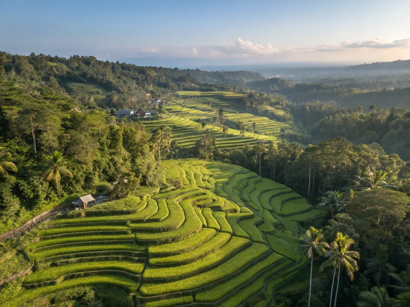A serene image of Bali, Indonesia, featuring lush rice terraces and a tranquil temple, highlighting the exotic and affordable luxury travel experience available.